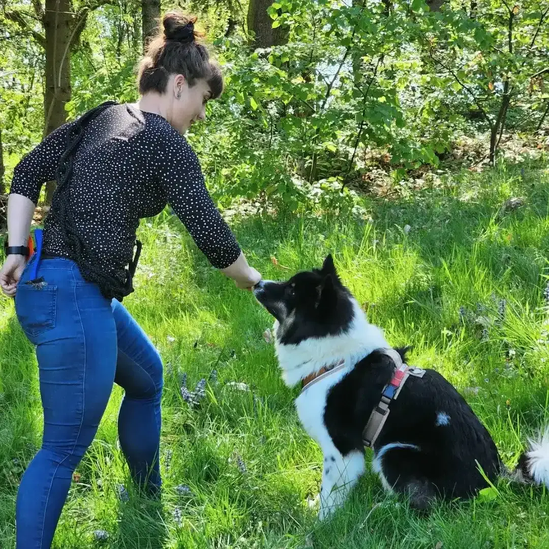 Ing. Jessy Pusch — Hundeschule Willenskraft