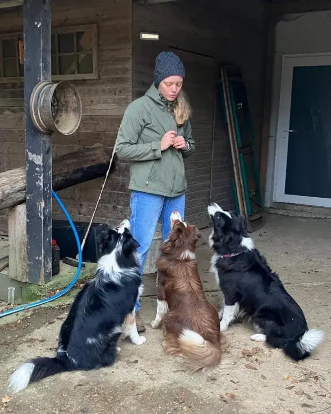 Katrin Ladler beim gewaltfreien Hundetraining mit zwei Border Collies am Y-Geschirr