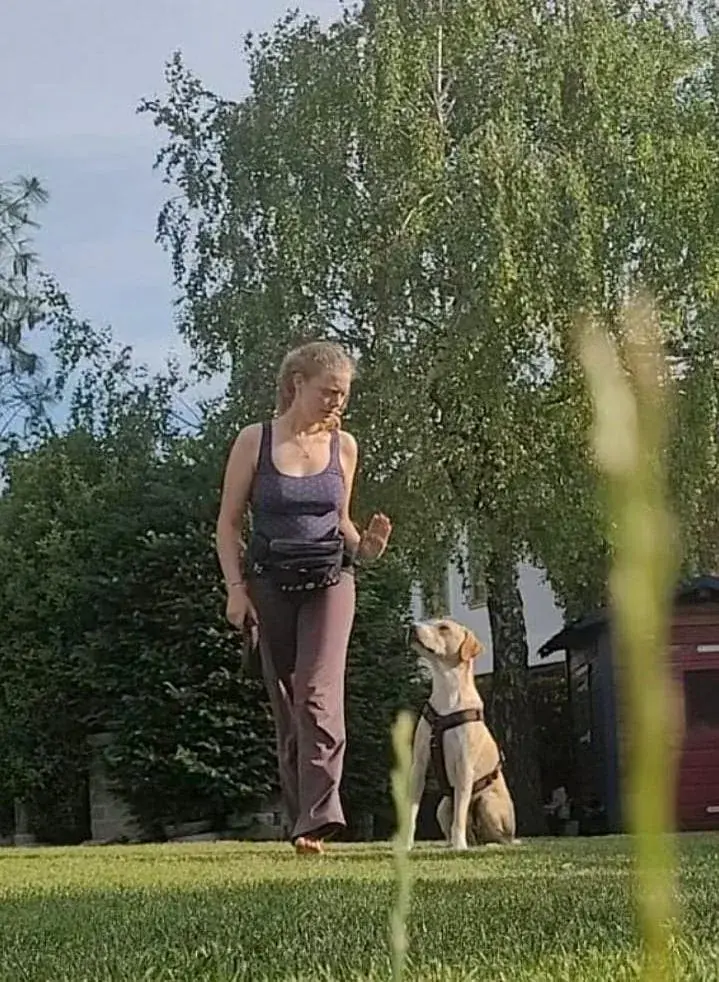 Katrin Ladler mit Tierschutzhund Garry im Begegnungstraining am Y-Geschirr