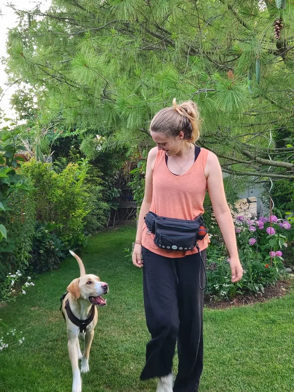 Katrin Ladler mit ihrem Hund Garry am Y-Geschirr am Wagram